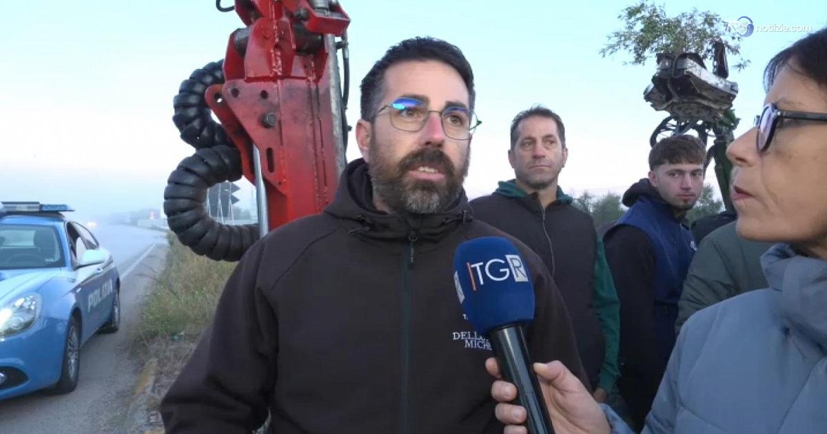Bitonto, corteo di trattori e tir sulla provinciale 231: "Siamo allo stremo"