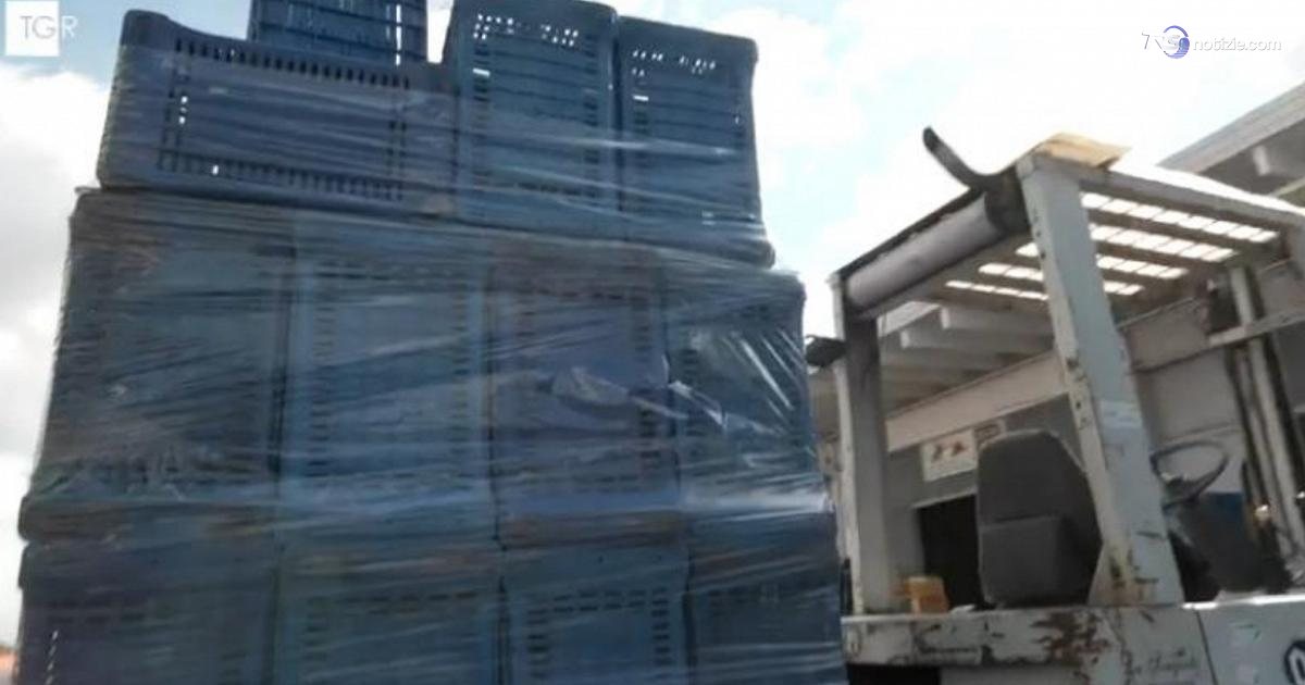 Il mercato ortofrutticolo di Vittoria si ferma per il blocco dei tir