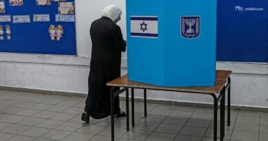 Voto Israele, Commissione: iter regolare