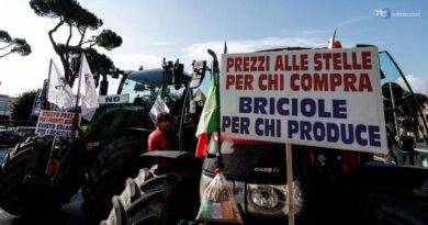 Cortei, 3 manifestanti feriti da lacrimogeno a Vicenza