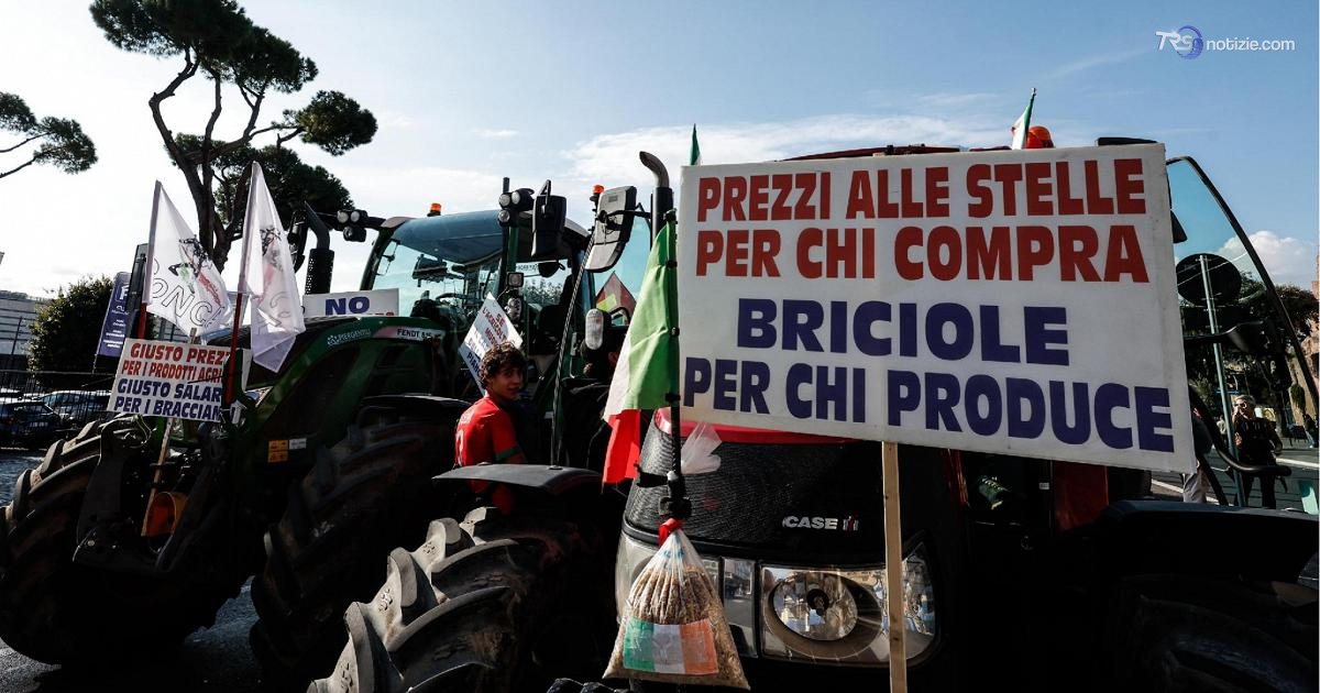 Cortei, 3 manifestanti feriti da lacrimogeno a Vicenza