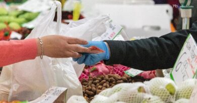 L'Istat, nel 2024 l'economia sommersa e le attività illegali hanno totalizzato 218,2 miliardi