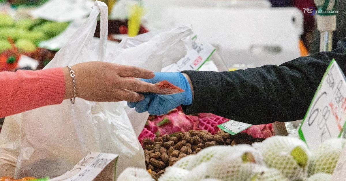 L’Istat, nel 2024 l’economia sommersa e le attività illegali hanno totalizzato 218,2 miliardi