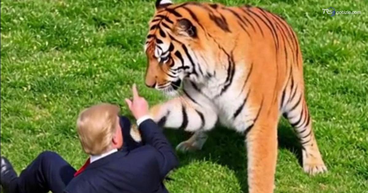 Il ragazzo sbranato da una tigre aveva problemi mentali, bufera sui post di Trump