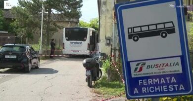Terni, presa a martellate dal marito sul bus: è morta dopo cinque mesi