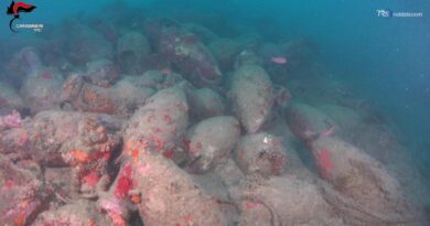 Paestum, De Mola: "Pensavo fossero bombe e invece erano 500 anfore"