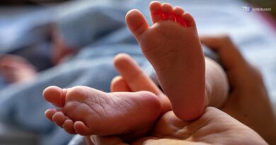 Denatalità, Istat: nel 2025 circa quattordici mila nascite in meno