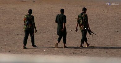 Sudan, attacchi di droni fanno oltre 80 morti