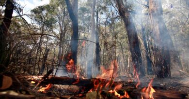El Niño preoccupa l'Australia, con l'estate "forte pericolo incendi"